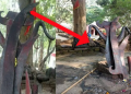 এতিয়াও আছে ভগৱান পৰশুৰামৰ কুঠাৰখন। কিন্তু আছে ক’ত ?