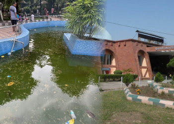 গুৱাহাটীৰ আঞ্চলিক বিজ্ঞান কেন্দ্ৰৰ শোচনীয় অৱস্থা, অসন্তুষ্ট দৰ্শনাৰ্থীৰ প্ৰতিক্ৰিয়া