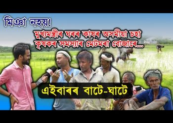 মুখ্যমন্ত্ৰীৰ ঘৰৰ কাষৰ গাঁৱৰ পথাৰতেই নাই পানী, কৃষকৰ হাহাকাৰ