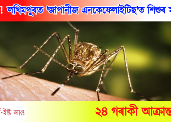 আতংক! লখিমপুৰত ‘জাপানীজ এনকেফেলাইটিছ’ত শিশুৰ মৃত্যু; ২৪ গৰাকী আক্ৰান্ত