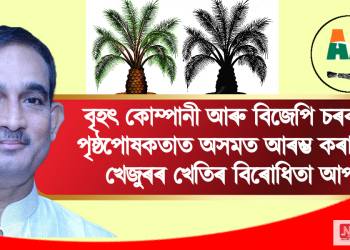 বৃহৎ কোম্পানী আৰু বিজেপি চৰকাৰৰ পৃষ্ঠপোষকতাত অসমত আৰম্ভ কৰা তৈল খেজুৰৰ খেতিৰ বিৰোধিতা আপৰ