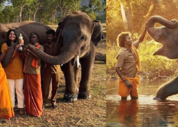 The Elephant Whisperers