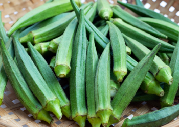 ladyfinger