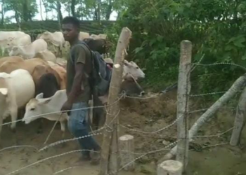 Flood in Assam