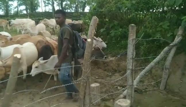 Flood in Assam