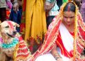 আজৱ পৰম্পৰা! কোন জনগোষ্ঠীয়ে কুকুৰ সৈতে বিয়া দিয়ে কন্যা শিশুক?