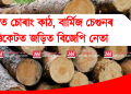 ৰাজ্যত চোৰাং কাঠ, বাৰ্মিজ চেগুনৰ ছিণ্ডিকেটত জড়িত বিজেপি নেতা