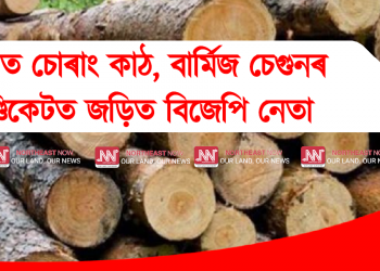 ৰাজ্যত চোৰাং কাঠ, বাৰ্মিজ চেগুনৰ ছিণ্ডিকেটত জড়িত বিজেপি নেতা