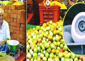 চুৰিৰ ভয়! বিলাহী সুৰক্ষাৰ বাবে ফাৰ্মত চিচিটিভি কেমেৰা স্থাপন কৃষকৰ