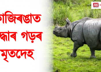 কাজিৰঙাত উদ্ধাৰ গড়ৰ মৃতদেহ, চোৰাং চিকাৰক অস্বীকাৰ বন বিভাগৰ