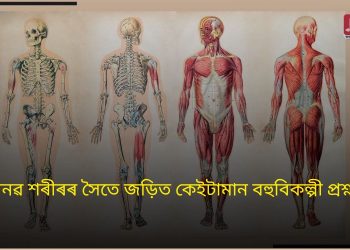 মানৱ শৰীৰৰ সৈতে জড়িত কেইটামান বহুবিকল্পী প্ৰশ্ন –