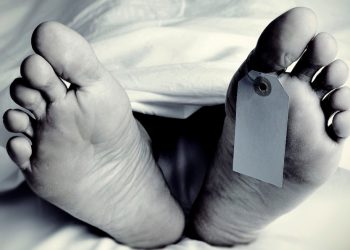 Wife kills husband