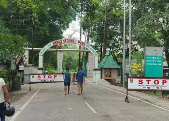 মানসত গঁড়ৰ খৰ্গ, হাতীৰ দাঁত, বাঘৰ হাড়সহ গ্ৰেপ্তাৰ পাঁচ সন্দেহজনক সৰবৰাহকাৰী