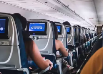 sexual assault in IndiGo flight
