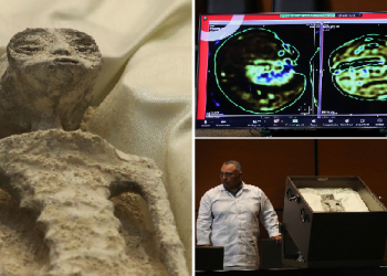 Alien Corpses Displayed At Mexico