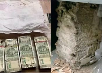 কন্যাৰ বিয়াৰ বাবে বেংকৰ লকাৰত ৰাখিছিল মাতৃয়ে; উঁই পোকে খাই পেলালে গোটেই ১৮ লাখ টকা