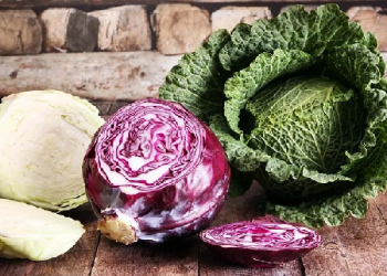 Cabbage