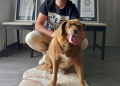 world's oldest dog Bobi