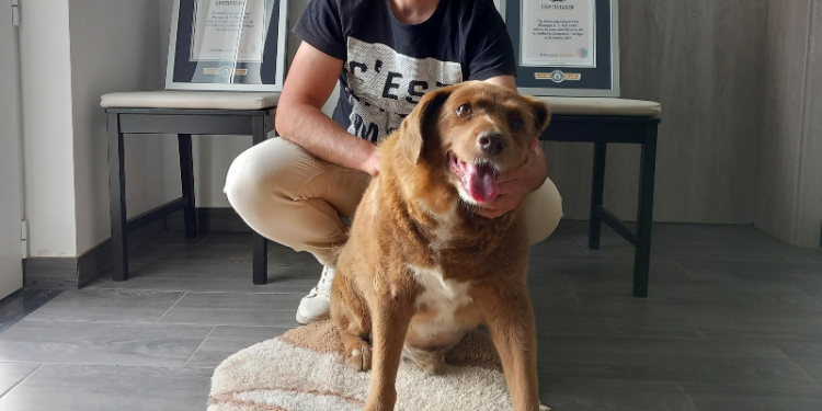 world's oldest dog Bobi