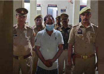 man rapes stray dog