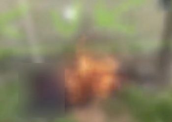 ভাইৰেল হৈ পৰিছে এজন ‘কুকি’ লোকক জীৱন্তে জ্বলাই দিয়াৰ ভিডিঅ! বিৰোধীৰ প্ৰতিক্ৰিয়া