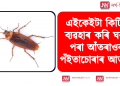 এইকেইটা কিটিপ ব্যৱহাৰ কৰি ঘৰৰ পৰা দূৰ কৰক পঁইতাচোৰাৰ আতংক