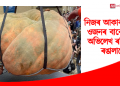১২৪৭ কিলোগ্ৰাম! এইবাৰ বিশ্ব ৰেকৰ্ড গঢ়িলে এটা ৰঙালাৱে