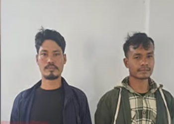 উজনিত আত্মসমৰ্পণ দুই আলফা(স্বা) কেডাৰৰ