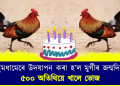 ধুমধামেৰে উদযাপন কৰা হ’ল মুৰ্গীৰ জন্মদিন, ৫০০ অতিথিয়ে খালে ভোজ