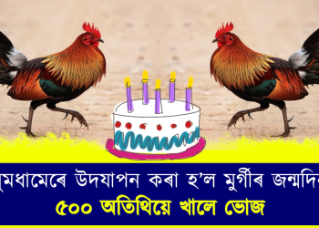 ধুমধামেৰে উদযাপন কৰা হ’ল মুৰ্গীৰ জন্মদিন, ৫০০ অতিথিয়ে খালে ভোজ