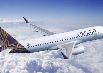 Dog Enters Goa Airport Runway