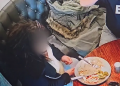 Woman Plants Her Own Hair In Food