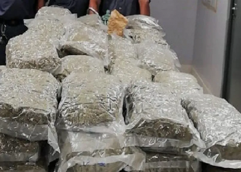 Police seized ganja
