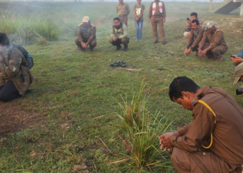 কাজিৰঙাত আকৌ আৰম্ভ হৈছে হাতী ছাফাৰী 