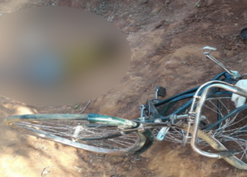 গোৱালপাৰাত বন্যহস্তীৰ আক্ৰমণত প্ৰাণ গ’ল অৱসৰপ্ৰাপ্ত সেনা জোৱানৰ
