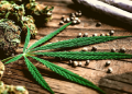 cannabis smuggle