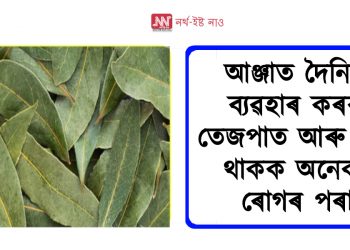 আঞ্জাত দৈনিক ব্যৱহাৰ কৰক তেজপাত আৰু বাচি থাকক অনেক ৰোগৰ পৰা