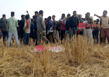 বোকাখাতৰ অগৰাতলী বনাঞ্চলত বনৰীয়া ম’হৰ আক্ৰমণত নিহত মহিলা