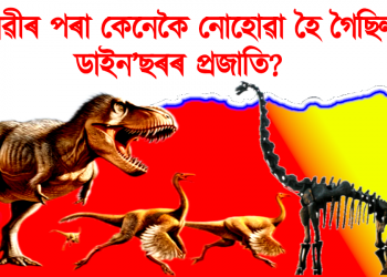 পৃথিৱীৰ পৰা কেনেকৈ নোহোৱা হৈ গৈছিল ডাইন’ছৰৰ প্ৰজাতি? জানি লওঁ আহক