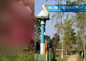 হাতী মানুহৰ সংঘাত : বোকাখাতত বনৰীয়া হাতীৰ আক্ৰমণত  নিহত এজন লোক