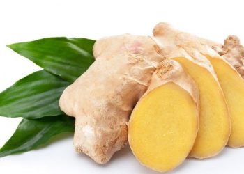 Adi Kekir Ginger: অৰুণাচলৰ এই বিশেষ আদাকে ধৰি তিনিটা সামগ্ৰীয়ে পালে জি আই টেগ