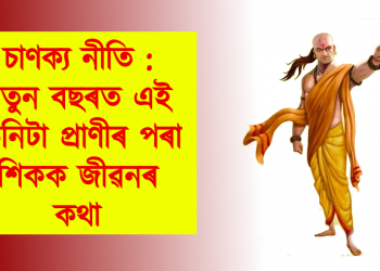 চাণক্য নীতি : নতুন বছৰত এই তিনিটা প্ৰাণীৰ পৰা শিকক জীৱনৰ কথা