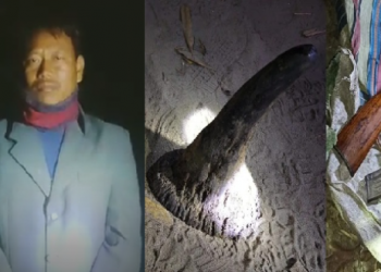 কাজিৰঙাত গঁড় হত্যা! গোলাঘাটত আটক চোৰাং চিকাৰী, উদ্ধাৰ গঁড়ৰ খৰ্গ