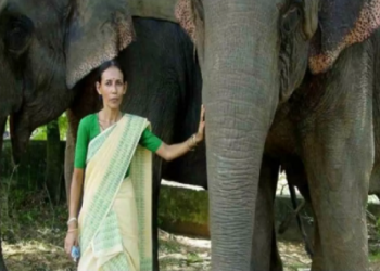তিনিগৰাকী অসমীয়ালৈ পদ্ম সন্মান! দেশৰ প্ৰথমগৰাকী মহিলা মাউত পাৰ্বতী বৰুৱালৈ পদ্মশ্ৰী