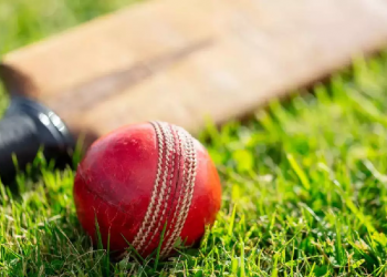 Man Dies Of Heart Attack While Playing Cricket