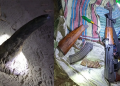 rhino poaching in Kaziranga