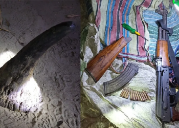 rhino poaching in Kaziranga