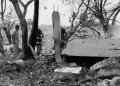 firecracker factory blast in Tamil Nadu
