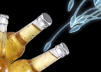 Alcohol Affect Fertility