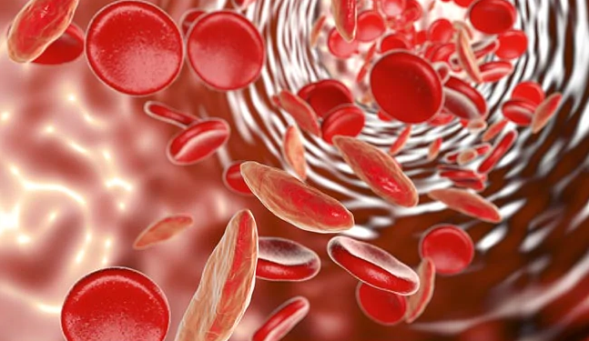 Low Iron Levels Symptoms